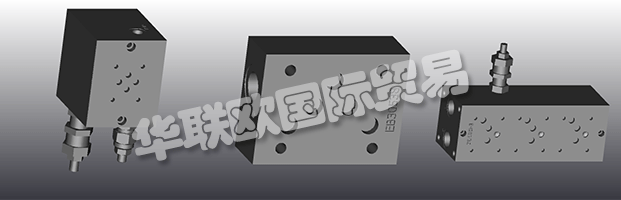 EUROFLUID Hydraulic是一家大型公司，專門生產(chǎn)液壓設(shè)備的歧管。