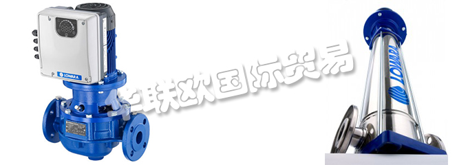 意大利LOWARA是一家專門生產(chǎn)不銹鋼泵的公司，他們提供的產(chǎn)品有：意大利LOWARA泵,、LOWARA水泵、循環(huán)器、端吸泵、多級(jí)泵、直列式泵、濕轉(zhuǎn)子循環(huán)器、變速泵、冷凝泵、自吸泵、潛水鉆孔泵、潛水污水和污水泵、潛水式脫水泵、外圍泵、泵控制器、驅(qū)動(dòng)器、變頻器、控制器、壓力開關(guān)控制器。