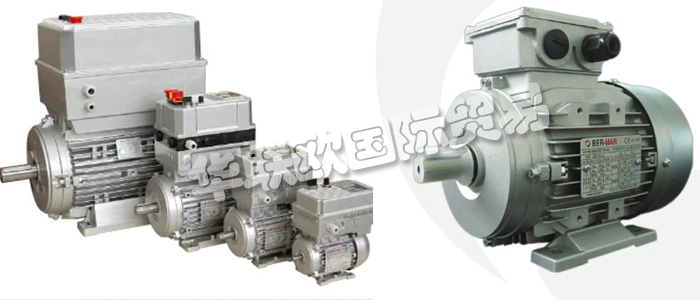 意大利BERMAR公司的主要產(chǎn)品包括：意大利BERMAR電機(jī)、BERMAR電動(dòng)機(jī)、異步電機(jī)、異步電動(dòng)機(jī)、永磁發(fā)動(dòng)機(jī)、逆變器、伺服通風(fēng)電動(dòng)機(jī)、伺服電動(dòng)機(jī)、工業(yè)洗衣機(jī)電動(dòng)機(jī)、單相電動(dòng)機(jī)、DRIVEJET鼓風(fēng)機(jī)、高效電機(jī)、泵、風(fēng)扇、工業(yè)壓縮機(jī)。