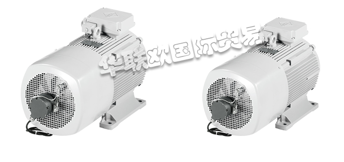 VEM電機(jī),VEM制動電機(jī),德國電機(jī),德國制動電機(jī),VEM制動電機(jī)特征,VEM制動電機(jī)技術(shù)細(xì)節(jié),德國VEM